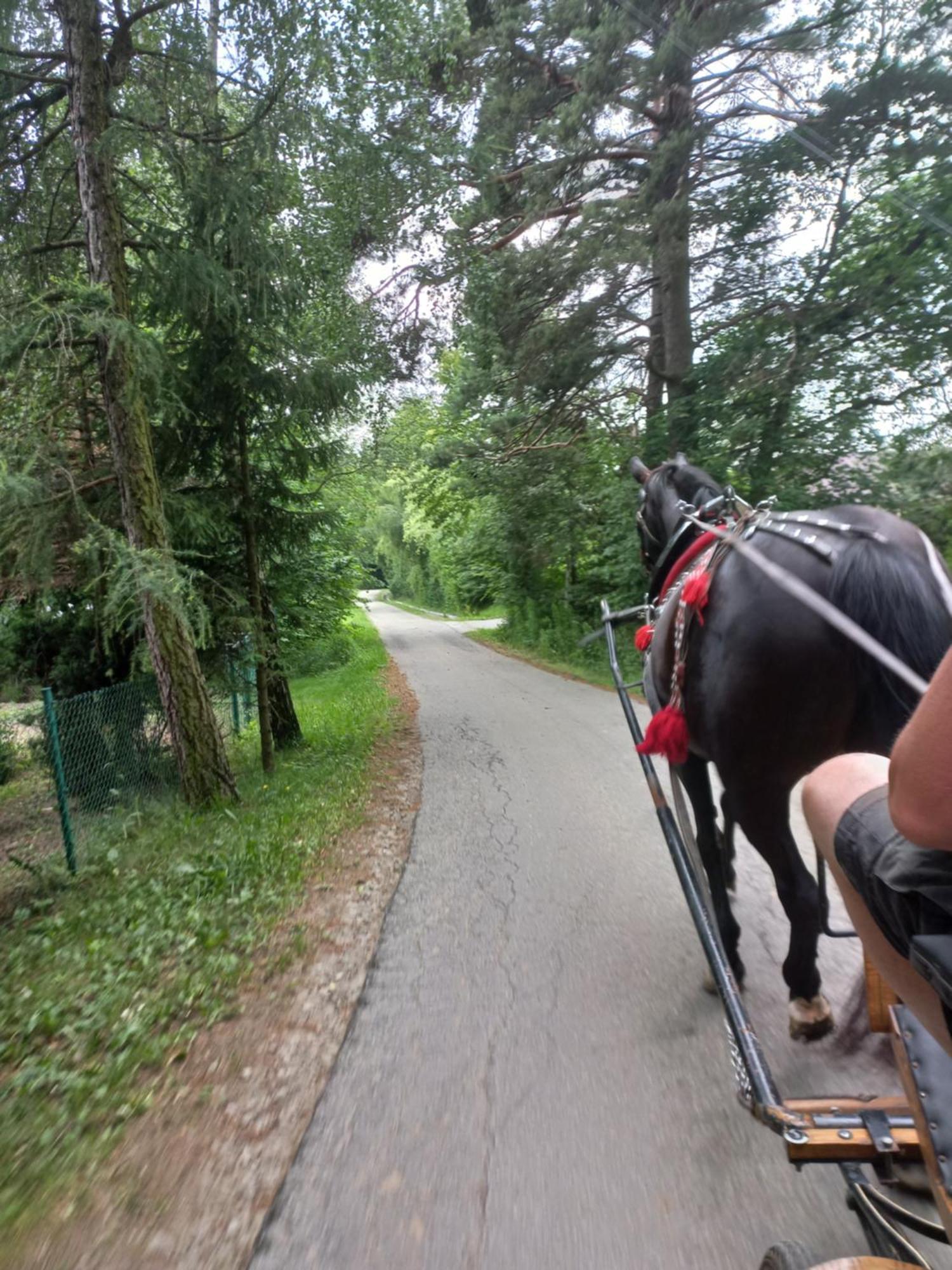 Komfortowe Z Kominkiem - Nowy Sacz Holiday home *